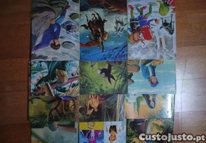 imagem_3