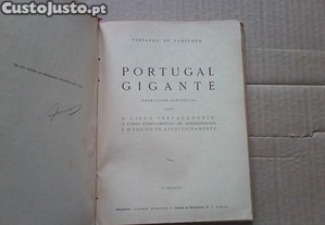 imagem_4