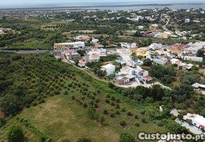 imagem_6