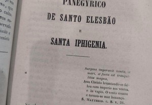 imagem_8