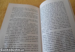 imagem_8