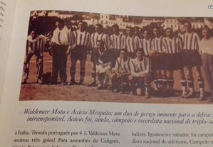 imagem_6