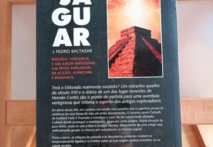 imagem_8