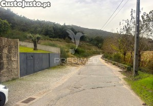 imagem_11