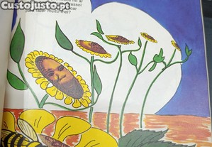 imagem_3