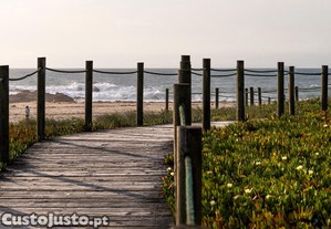imagem_16