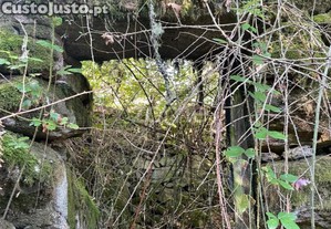 Terreno Com 7.7 Ha E Três Ruínas Em Britelo,...