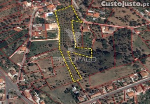 imagem_1