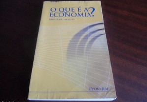 "O Que é a Economia?" de João César das Neves