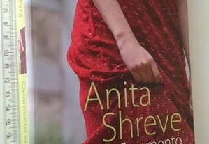 Casamento em Dezembro - Anita Shreve