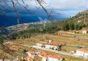 Terreno urbanizável - pomarelhos a 8 kms vila real