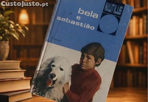 imagem_1