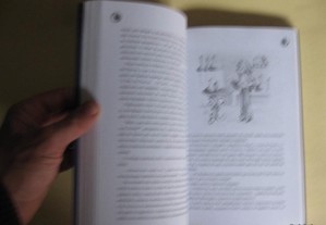 imagem_6