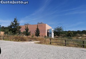 imagem_21