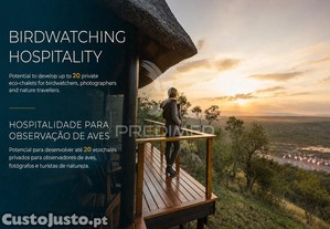 imagem_7
