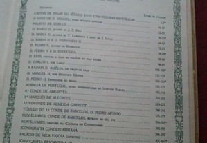 imagem_11