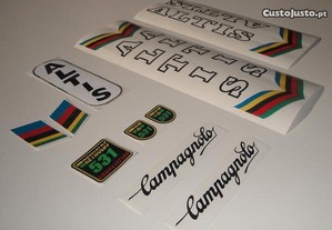 imagem_7
