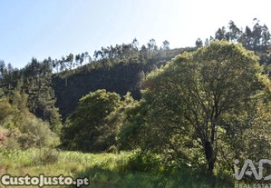 imagem_31