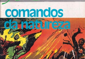 imagem_2
