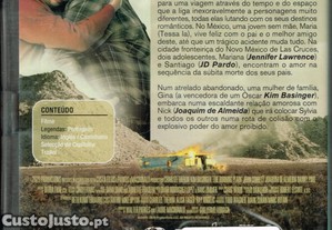 imagem_6