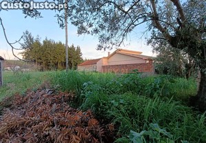 Terreno Rústico em Anadia - Localização Privilegiada