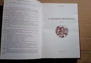 imagem_8