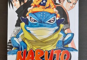 Naruto 13 (Devir)