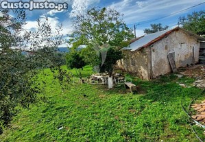 imagem_32