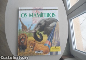 imagem_1