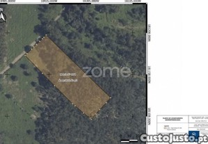 Terreno Rústico Com 3.930 M2 Na Carvalhosa,...