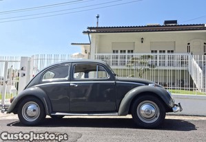 VW Carocha Limousine Luxo
