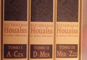 Dicionario da lingua Portuguesa HOUAISS