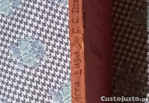 imagem_8