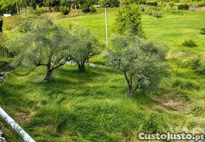 imagem_39