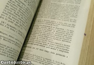 imagem_4