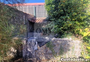 imagem_22