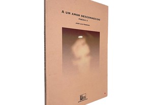 A Um Amor Desconhecido (Poesia II) - José-Luis Ferreira