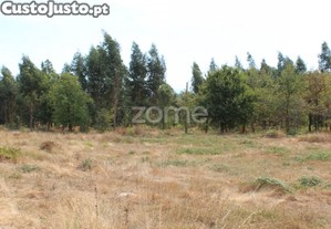 Terreno Para Construção E Exploração Agrícola...