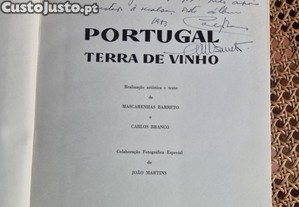 imagem_3