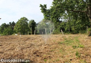 imagem_8