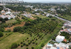 imagem_9