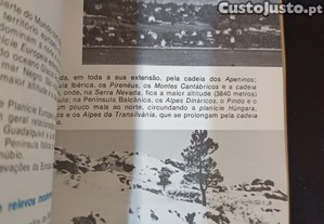 imagem_7
