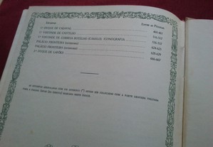 imagem_12