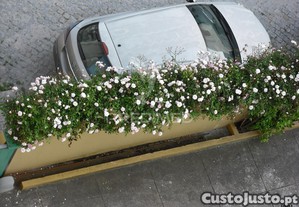 imagem_36