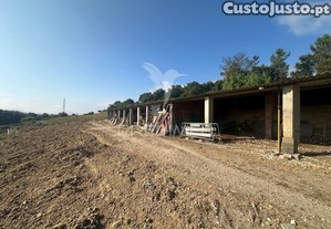 imagem_25