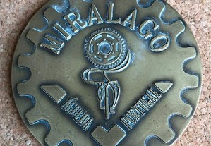 Medalhão MIRALAGO 1995 Bronze 8Cm
