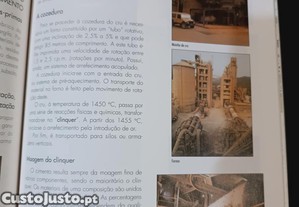 imagem_7