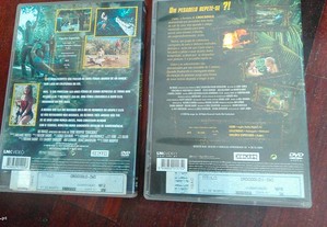 imagem_8