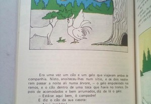 imagem_5