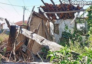 imagem_7